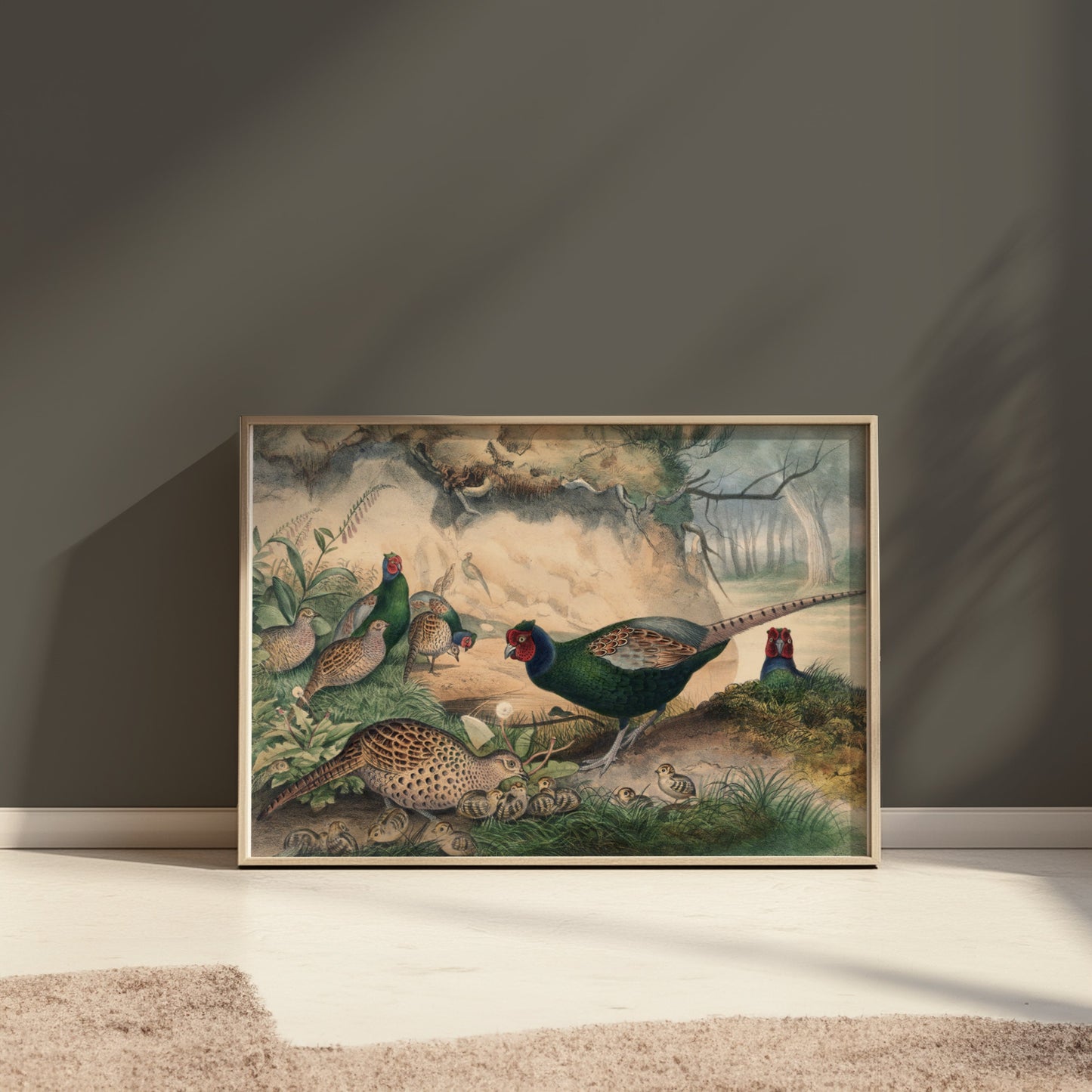 Premium Poster of Beautiful Pheasant and Chicks Nature Scene Posters
