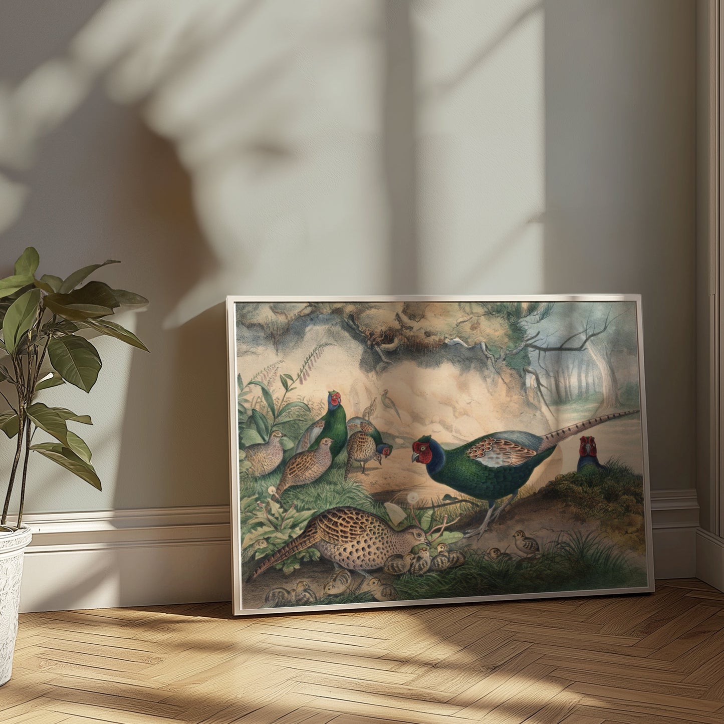 Premium Poster of Beautiful Pheasant and Chicks Nature Scene Posters