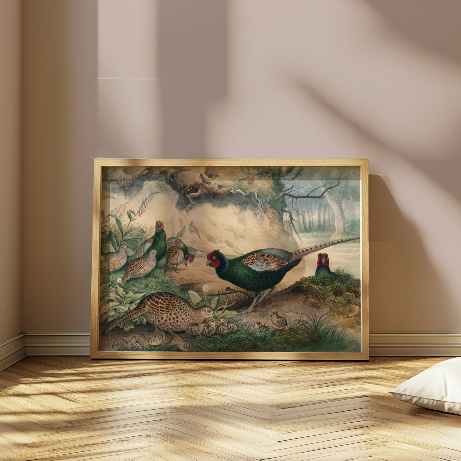 Premium Poster of Beautiful Pheasant and Chicks Nature Scene Posters