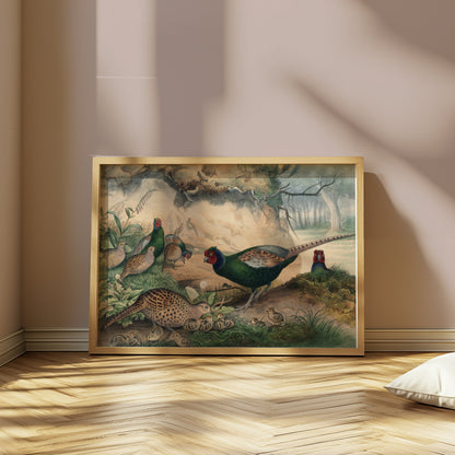 Premium Poster of Beautiful Pheasant and Chicks Nature Scene Posters