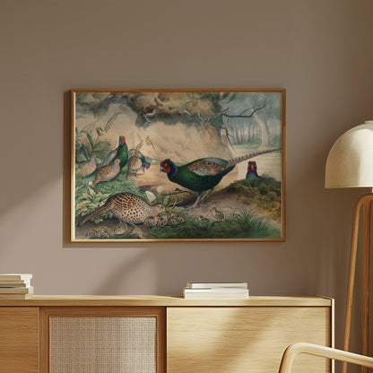 Premium Poster of Beautiful Pheasant and Chicks Nature Scene Posters