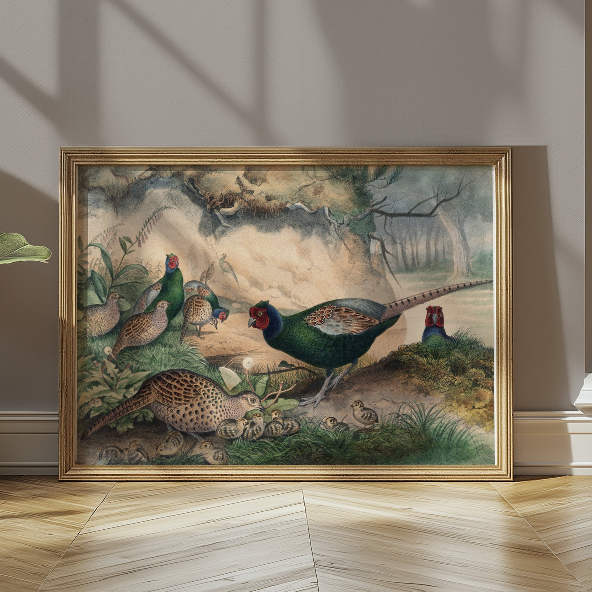 Premium Poster of Beautiful Pheasant and Chicks Nature Scene Posters