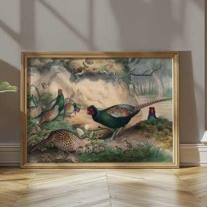 Premium Poster of Beautiful Pheasant and Chicks Nature Scene Posters