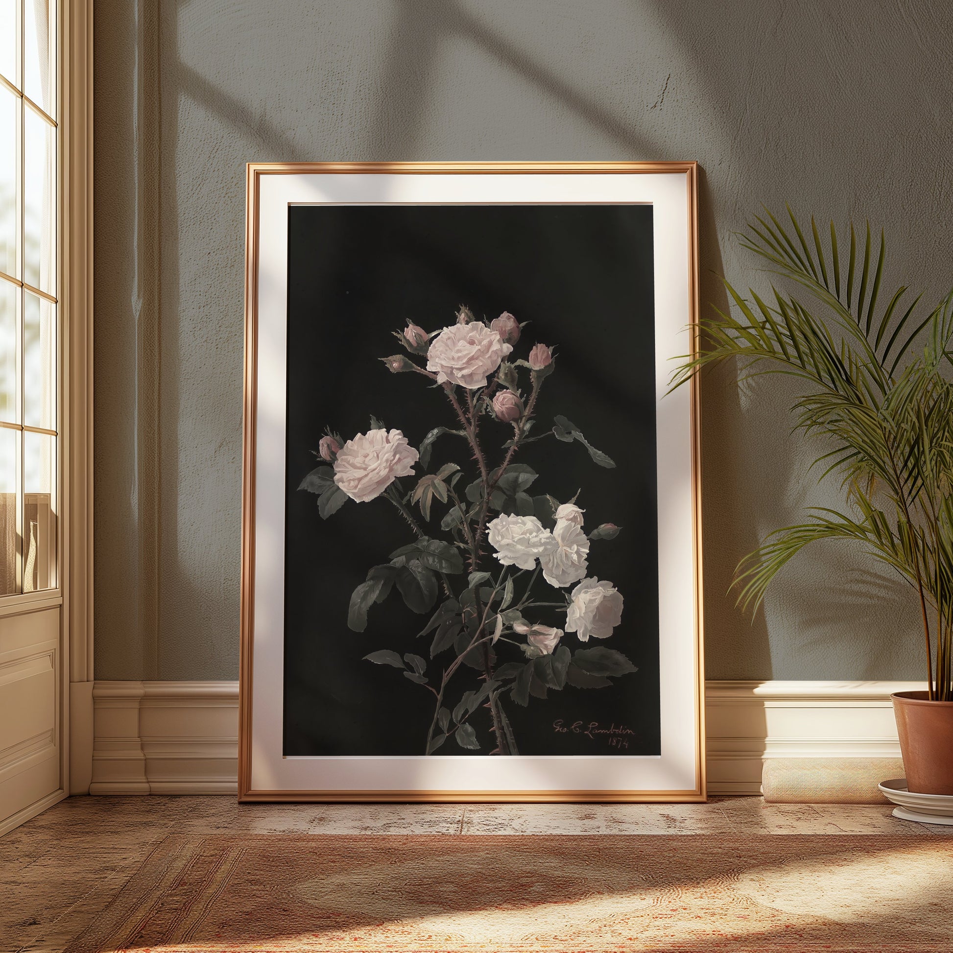Premium Poster of Beautiful Pink and White Roses on Black Background Posters
