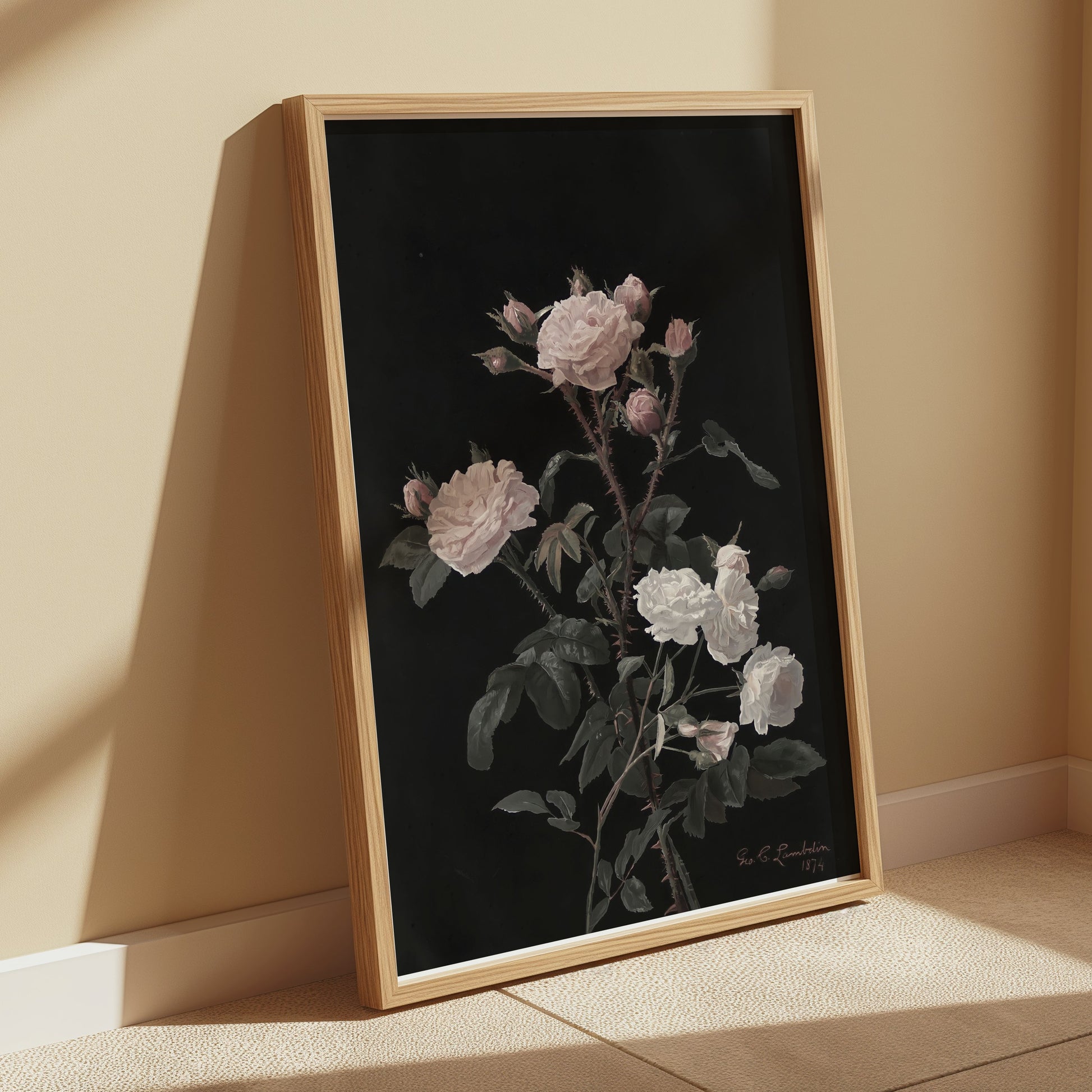 Premium Poster of Beautiful Pink and White Roses on Black Background Posters