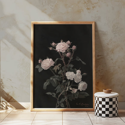 Premium Poster of Beautiful Pink and White Roses on Black Background Posters