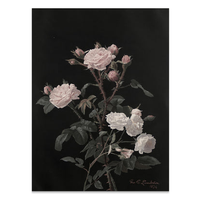 Premium Poster of Beautiful Pink and White Roses on Black Background Posters