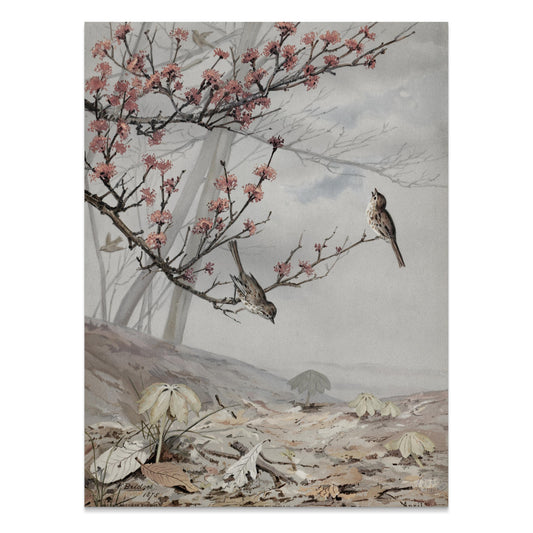 Premium Poster of Beautiful Spring Art with Birds and Flowers Posters