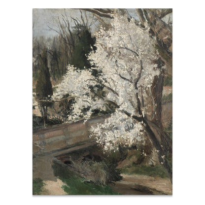 Premium Poster of Beautiful Spring Blossoms with Scenic Background Posters