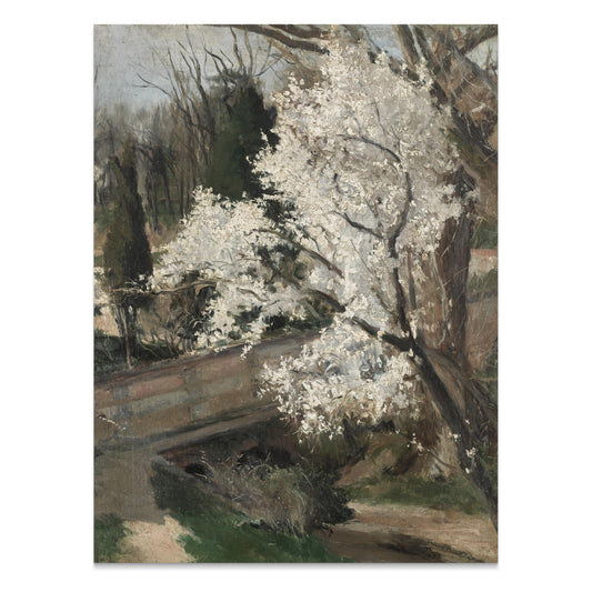 Premium Poster of Beautiful Spring Blossoms with Scenic Background Posters