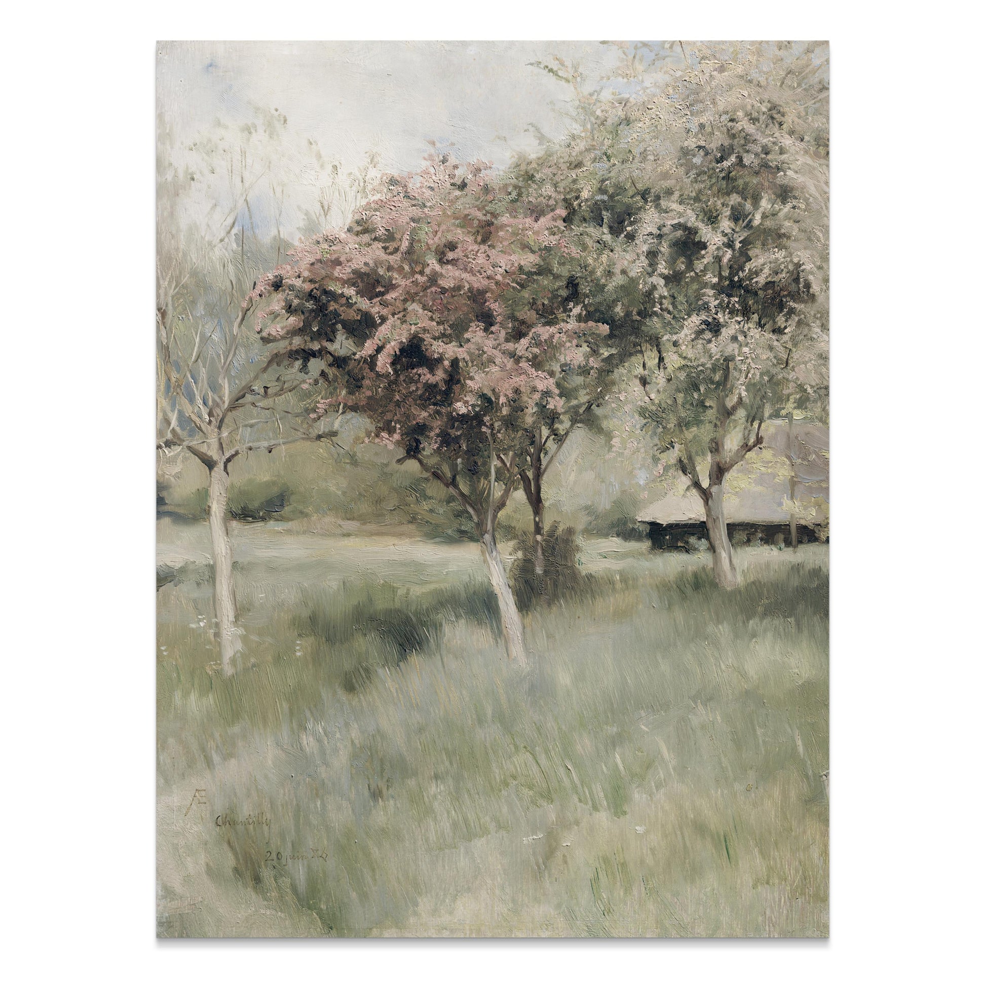 Premium Poster of Beautiful Spring Landscape with Blooming Trees Posters