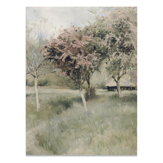 Premium Poster of Beautiful Spring Landscape with Blooming Trees Posters
