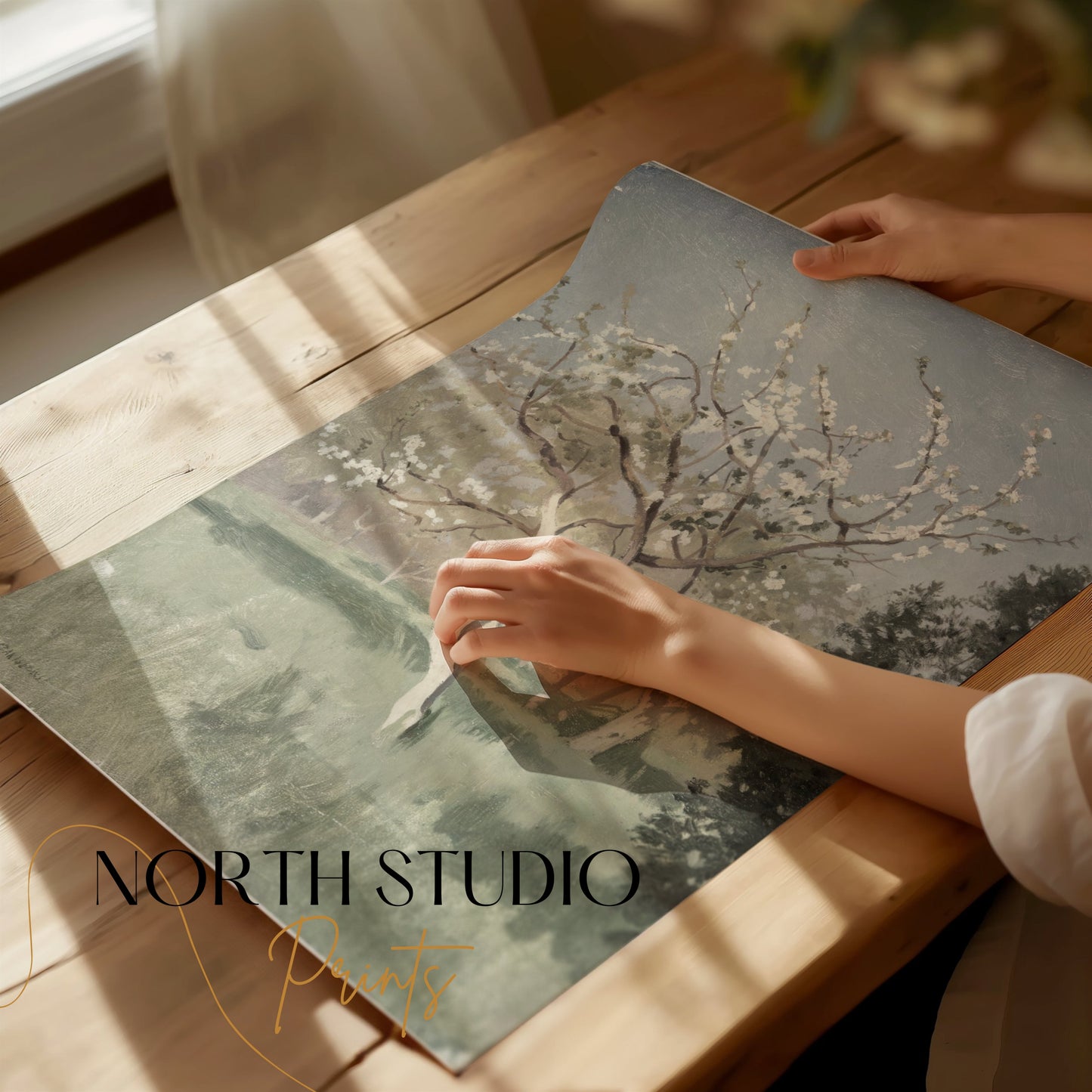 Premium Poster of Beautiful Springtime Blossoming Trees Art Posters