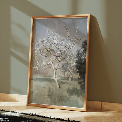 Premium Poster of Beautiful Springtime Blossoming Trees Art Posters