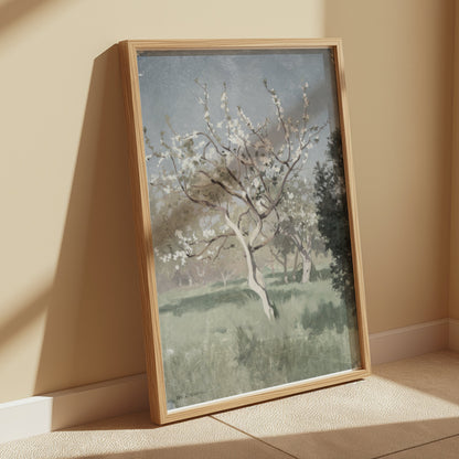 Premium Poster of Beautiful Springtime Blossoming Trees Art Posters