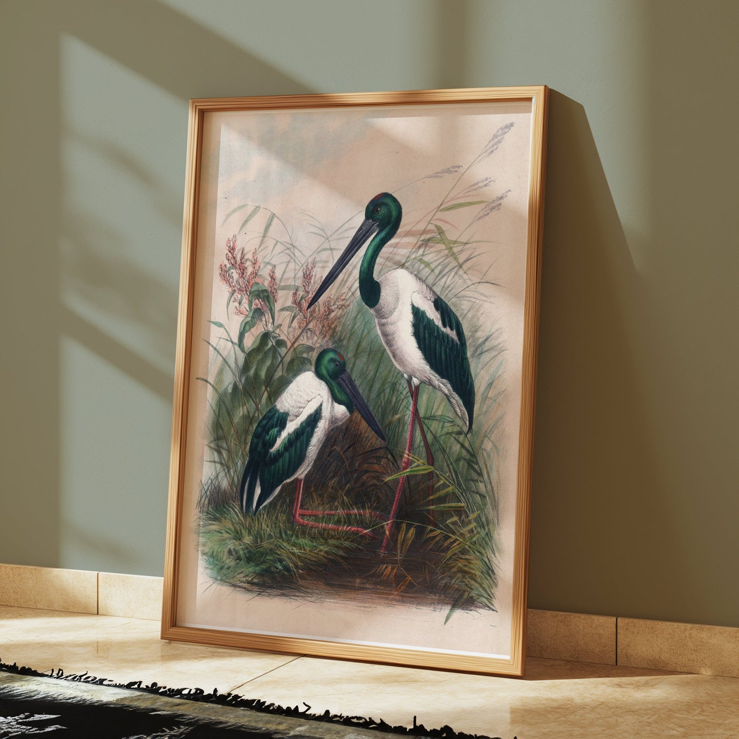 Premium Poster of Beautiful Stork Birds in Natural Habitat Artwork Posters