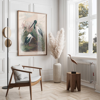 Premium Poster of Beautiful Stork Birds in Natural Habitat Artwork Posters