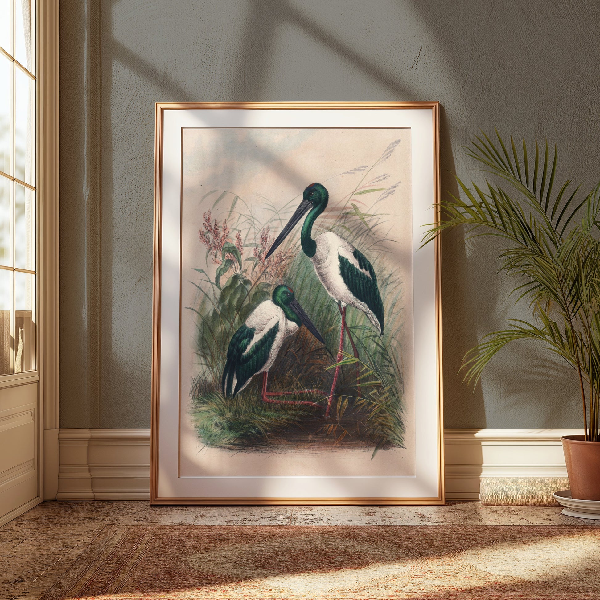 Premium Poster of Beautiful Stork Birds in Natural Habitat Artwork Posters