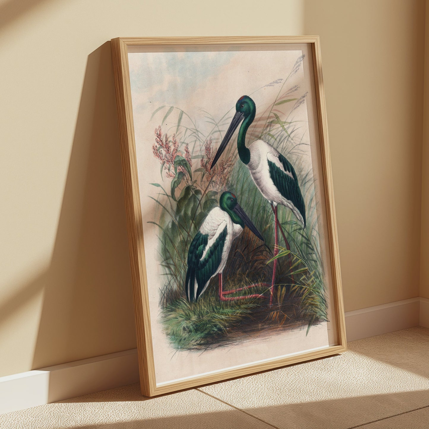 Premium Poster of Beautiful Stork Birds in Natural Habitat Artwork Posters