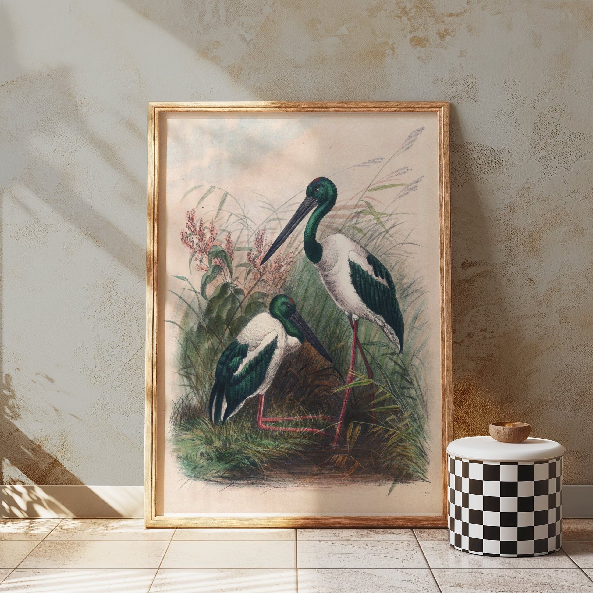 Premium Poster of Beautiful Stork Birds in Natural Habitat Artwork Posters