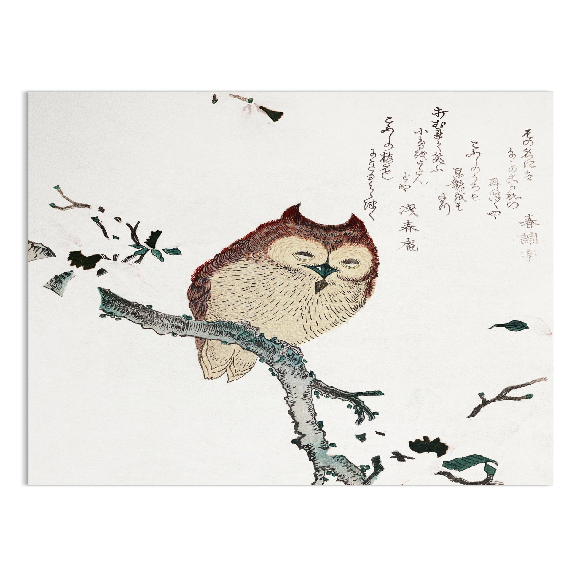 Premium Poster of Beautiful Traditional Japanese Owl Artwork Posters