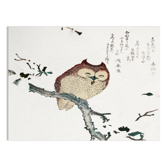 Premium Poster of Beautiful Traditional Japanese Owl Artwork Posters