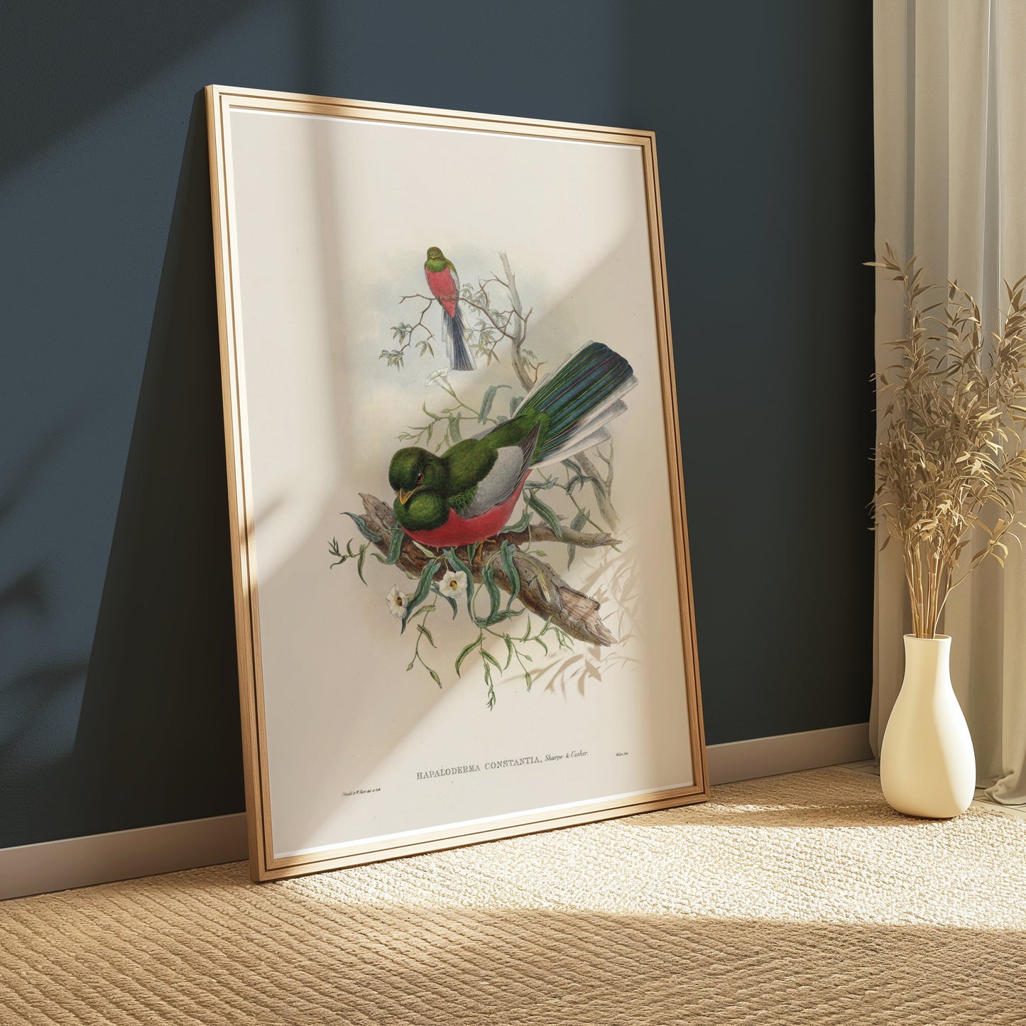 Premium Poster of Beautiful Trogon Birds Vintage Illustration Art Posters
