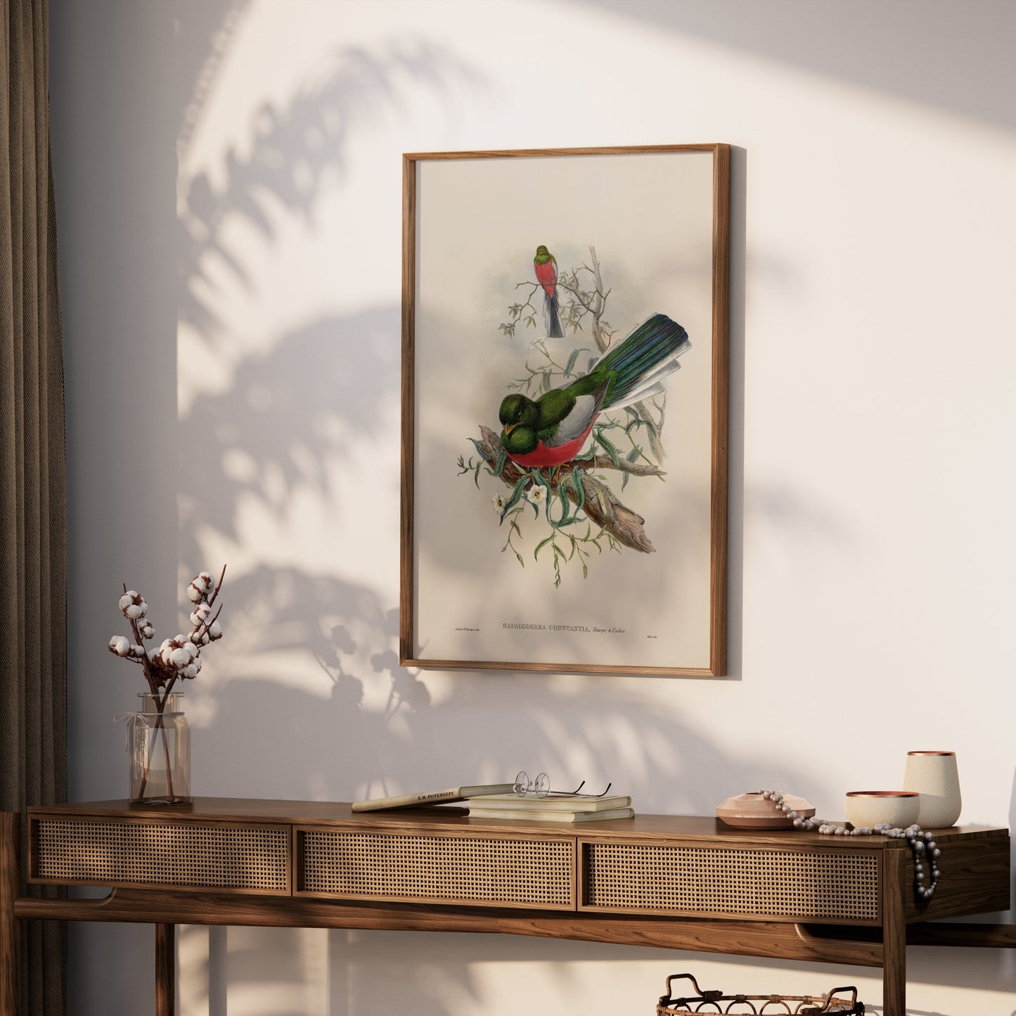 Premium Poster of Beautiful Trogon Birds Vintage Illustration Art Posters