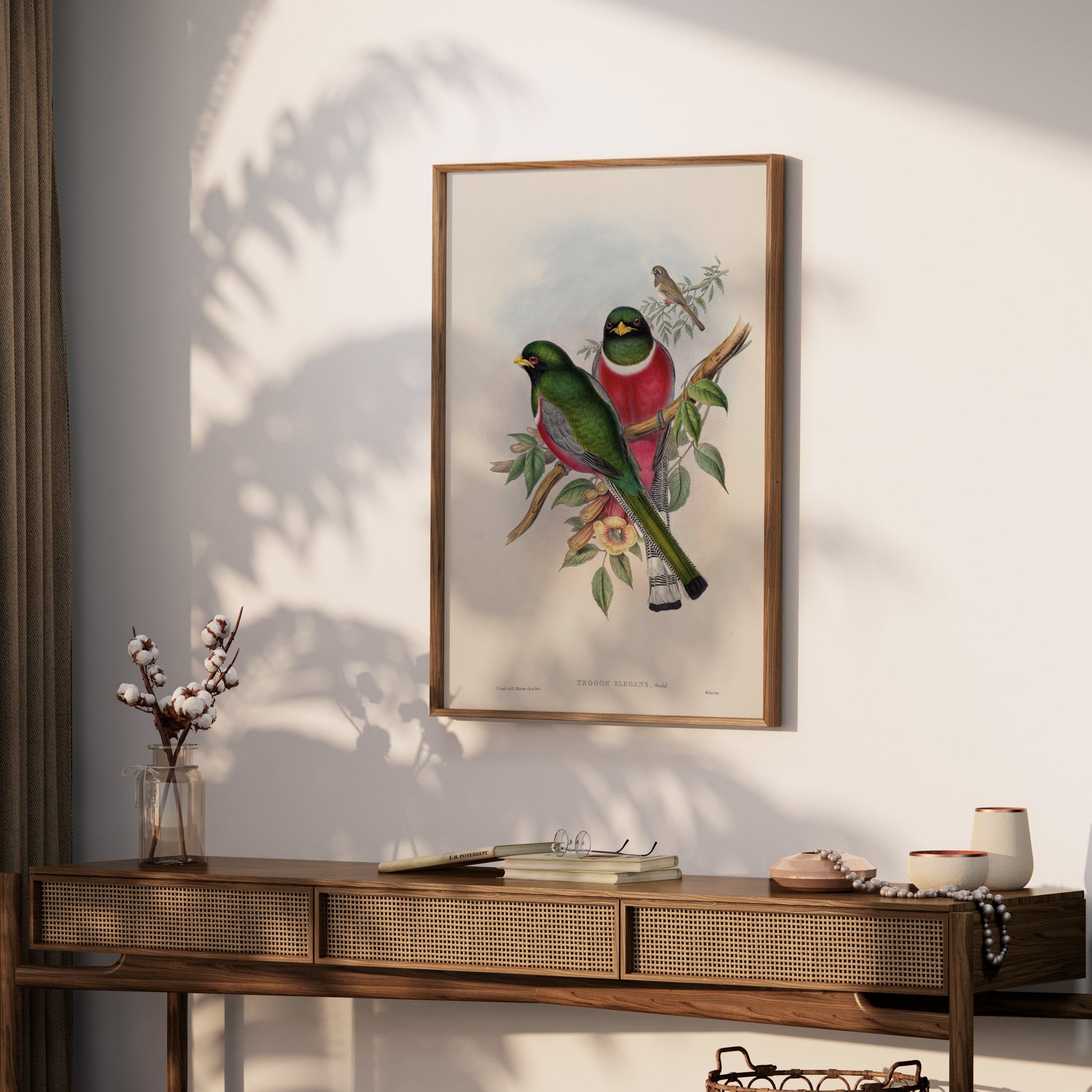 Premium Poster of Beautiful Vintage Bird Illustration Art Print Posters