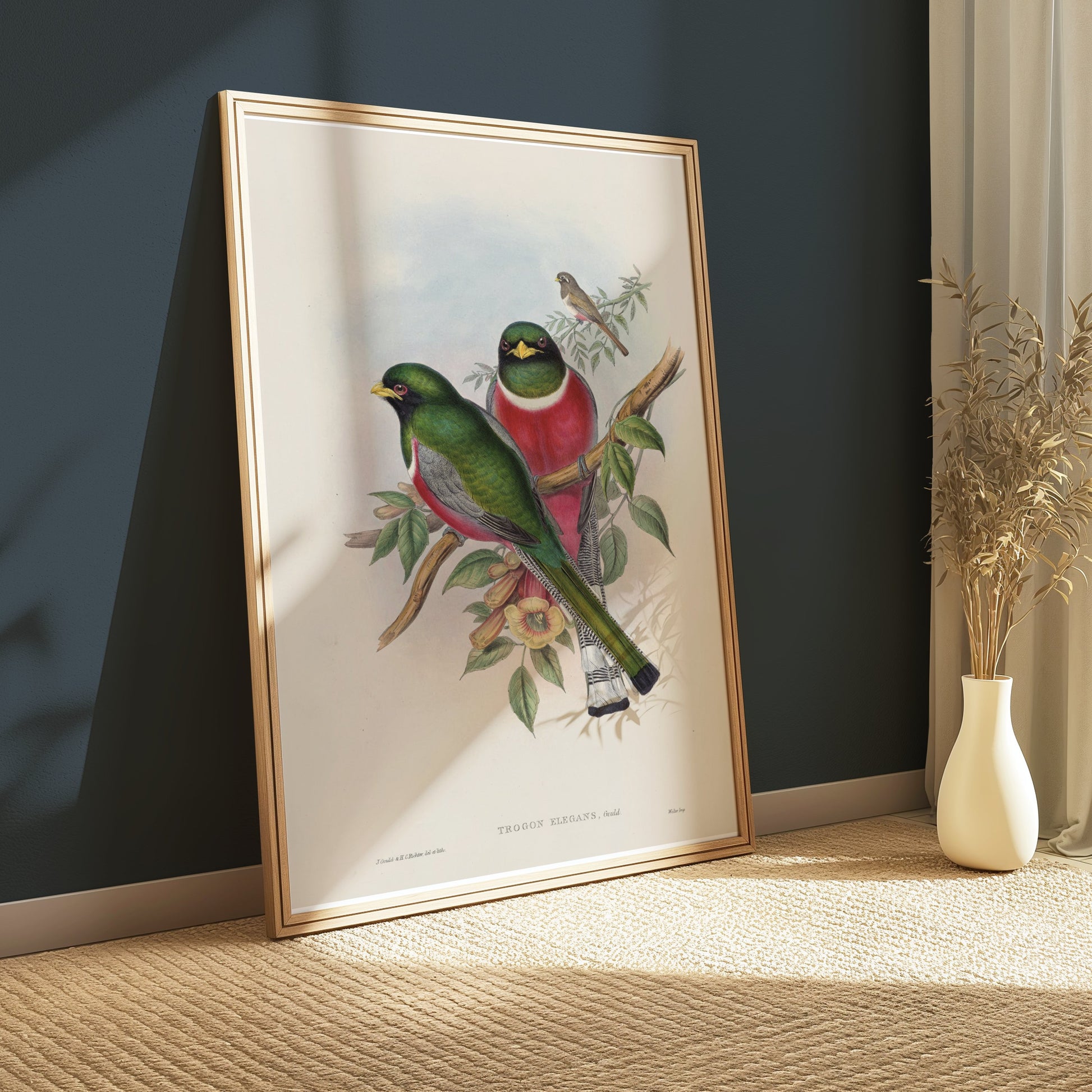 Premium Poster of Beautiful Vintage Bird Illustration Art Print Posters