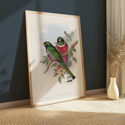 Premium Poster of Beautiful Vintage Bird Illustration Art Print Posters