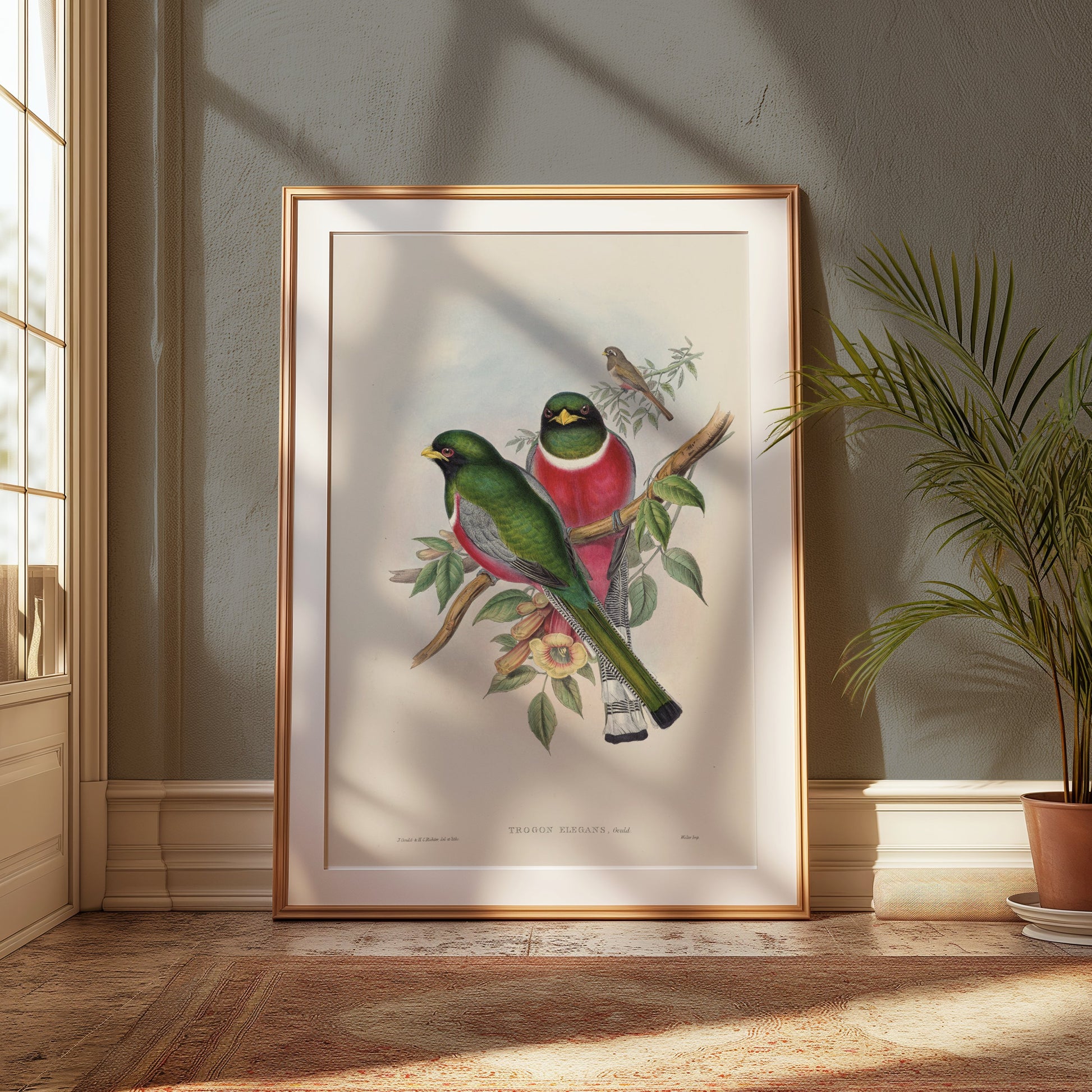 Premium Poster of Beautiful Vintage Bird Illustration Art Print Posters