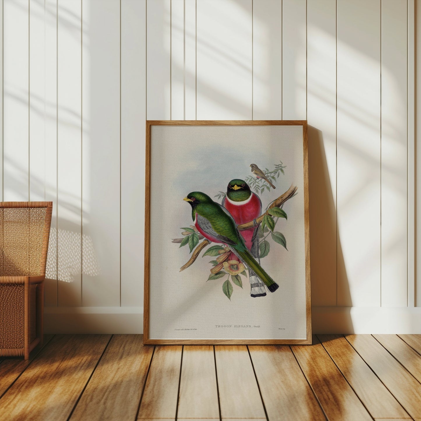 Premium Poster of Beautiful Vintage Bird Illustration Art Print Posters