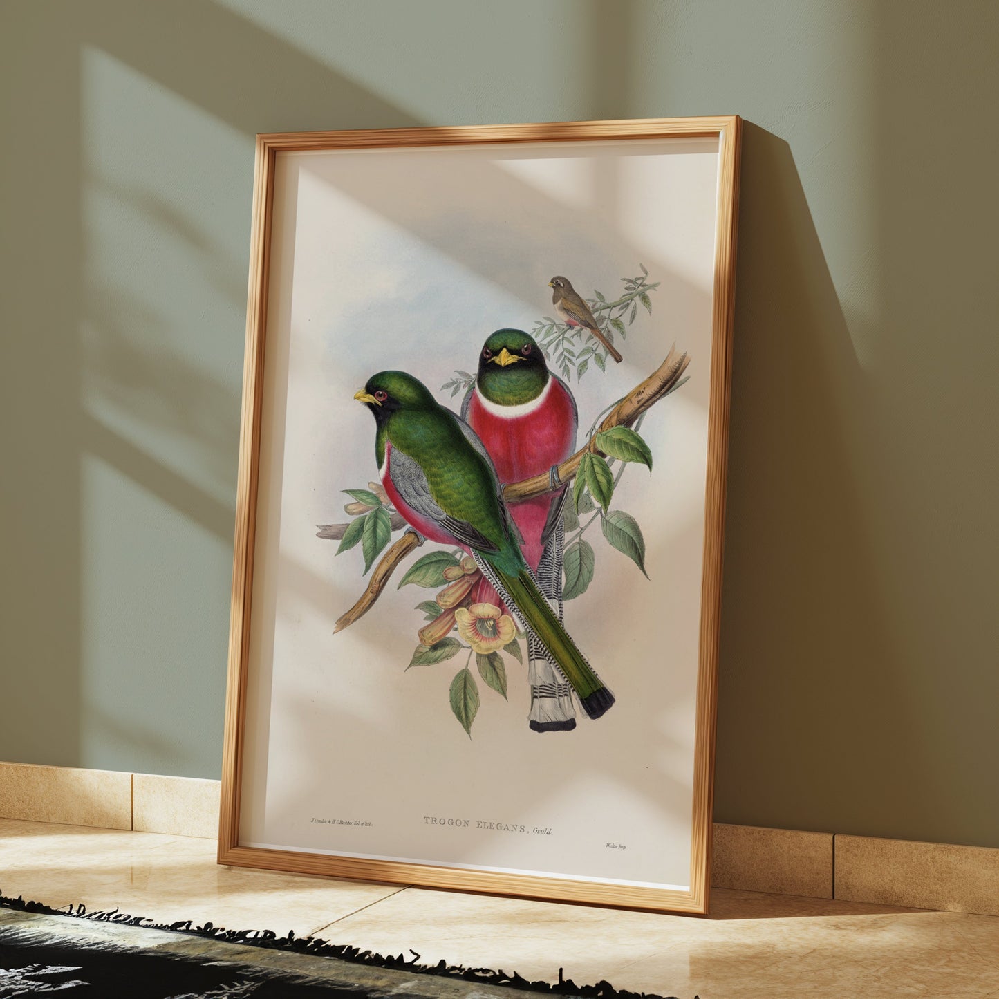 Premium Poster of Beautiful Vintage Bird Illustration Art Print Posters
