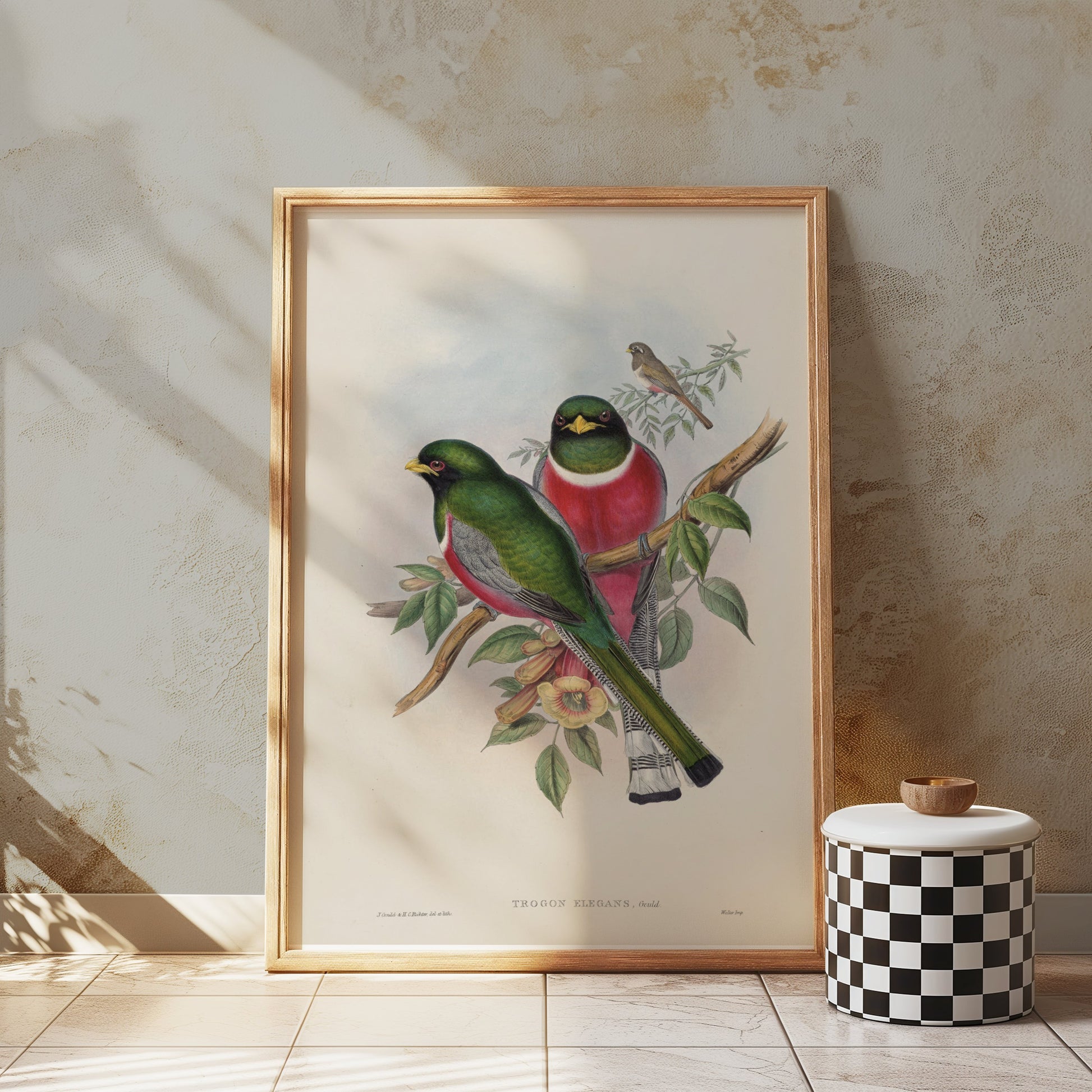 Premium Poster of Beautiful Vintage Bird Illustration Art Print Posters