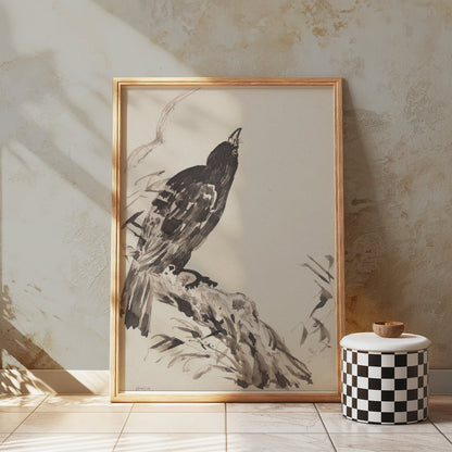 Premium Poster of Beautiful Vintage Blackbird on Branch Art Posters