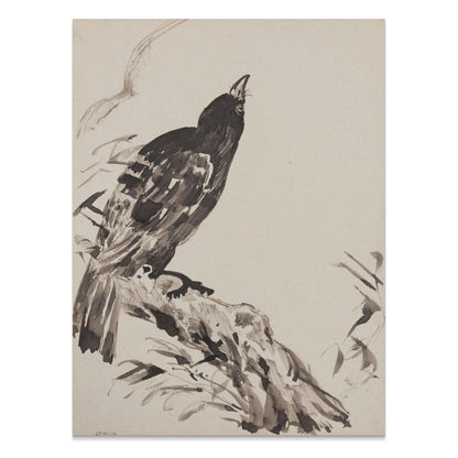 Premium Poster of Beautiful Vintage Blackbird on Branch Art Posters