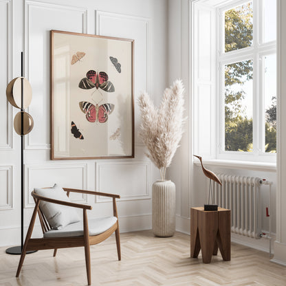 Premium Poster of Beautiful Vintage Butterfly Illustration Art Posters