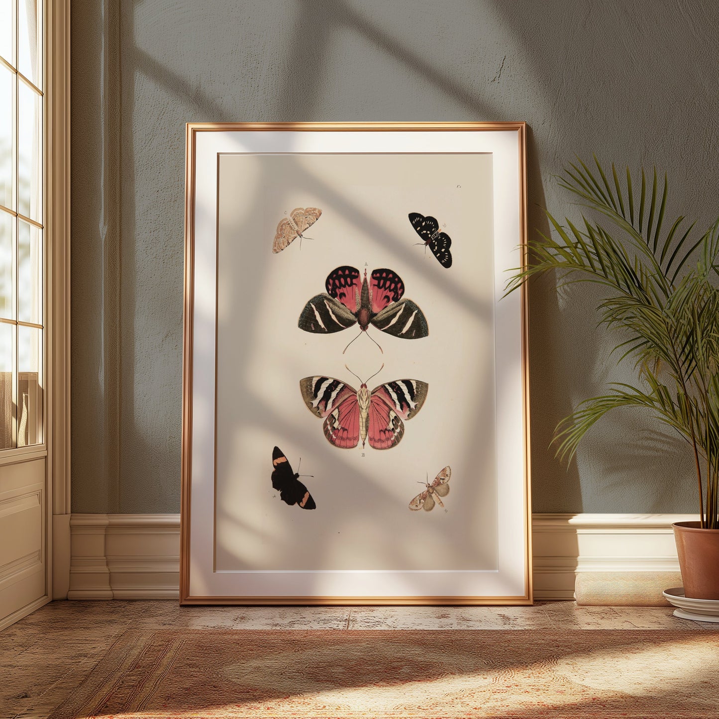 Premium Poster of Beautiful Vintage Butterfly Illustration Art Posters