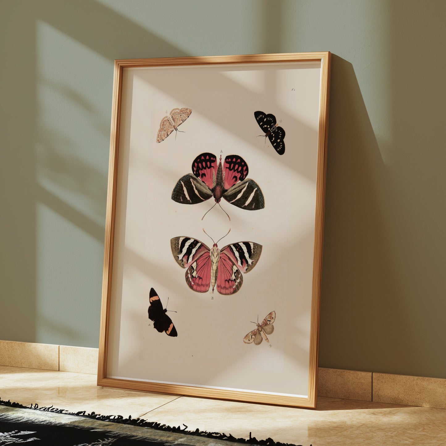 Premium Poster of Beautiful Vintage Butterfly Illustration Art Posters