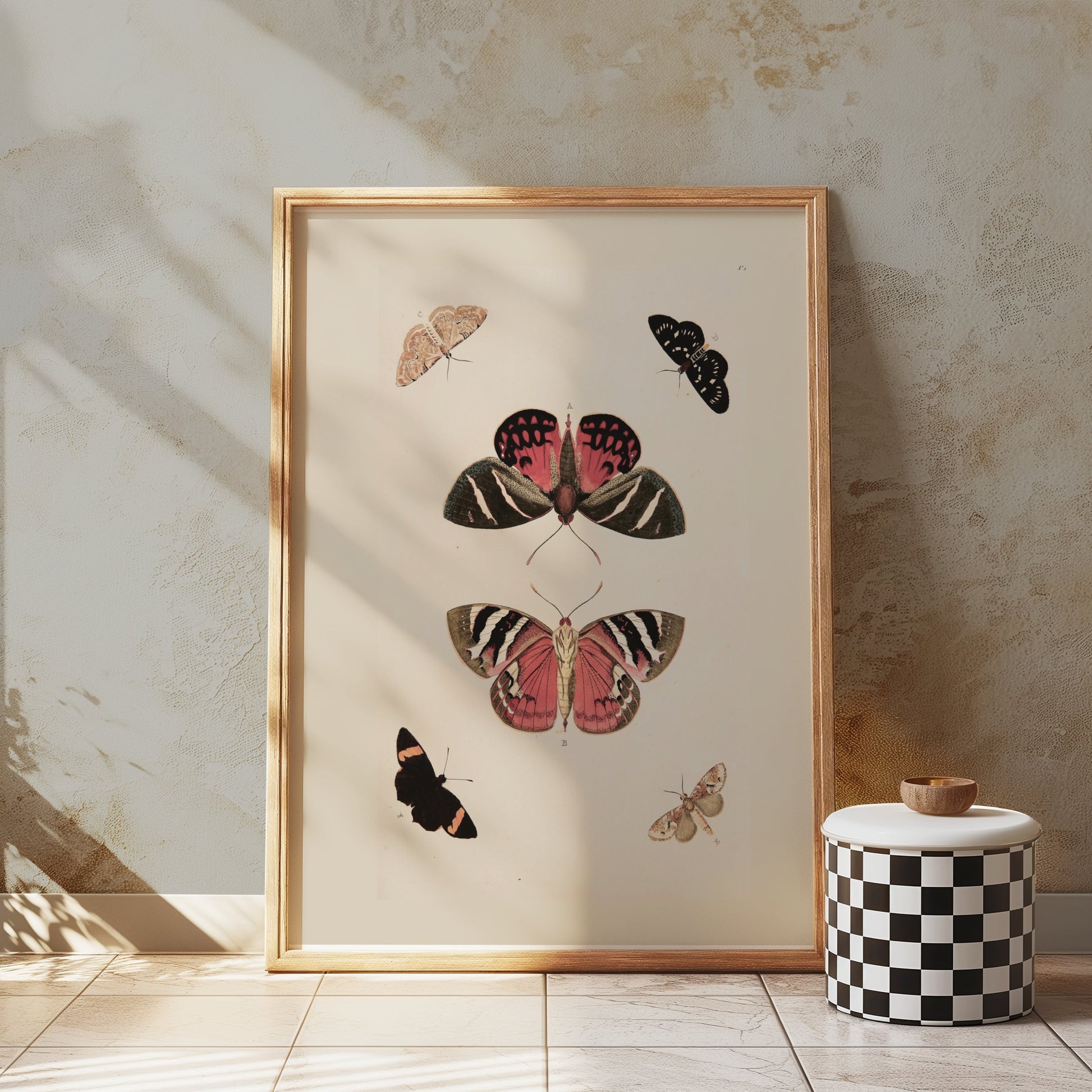 Premium Poster of Beautiful Vintage Butterfly Illustration Art Posters