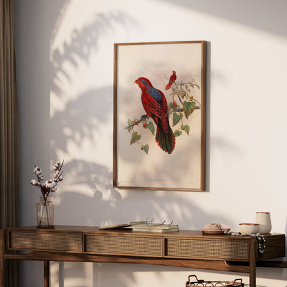 Premium Poster of Beautiful Vintage Parrot Illustration Art Print Posters