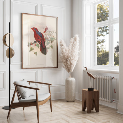 Premium Poster of Beautiful Vintage Parrot Illustration Art Print Posters