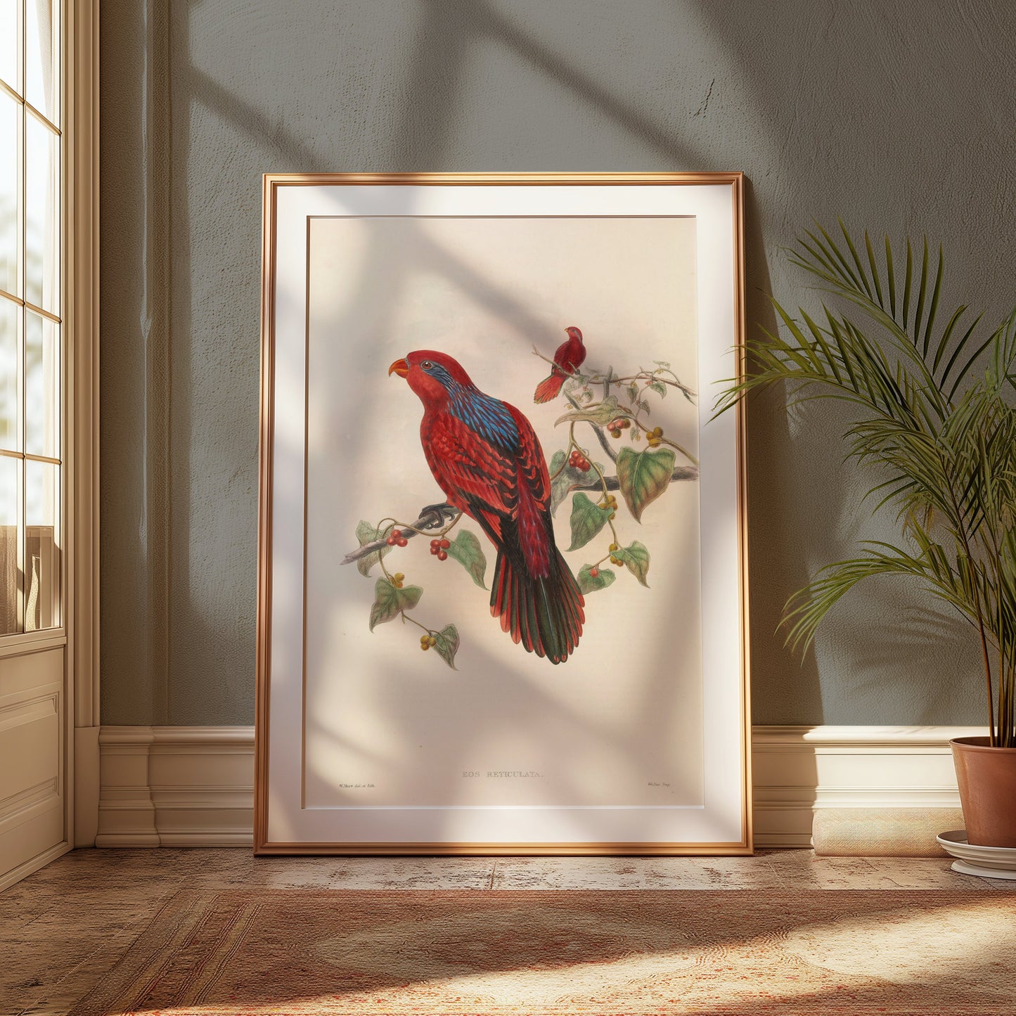 Premium Poster of Beautiful Vintage Parrot Illustration Art Print Posters