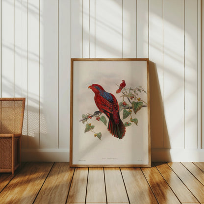 Premium Poster of Beautiful Vintage Parrot Illustration Art Print Posters