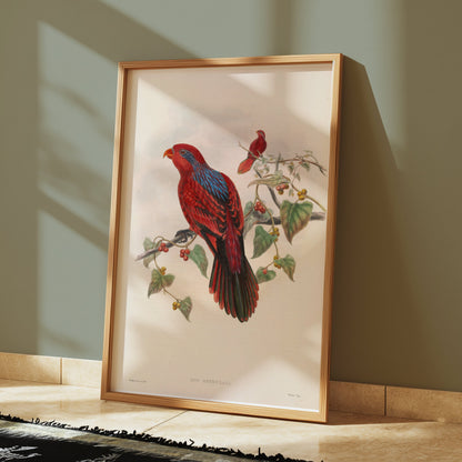 Premium Poster of Beautiful Vintage Parrot Illustration Art Print Posters