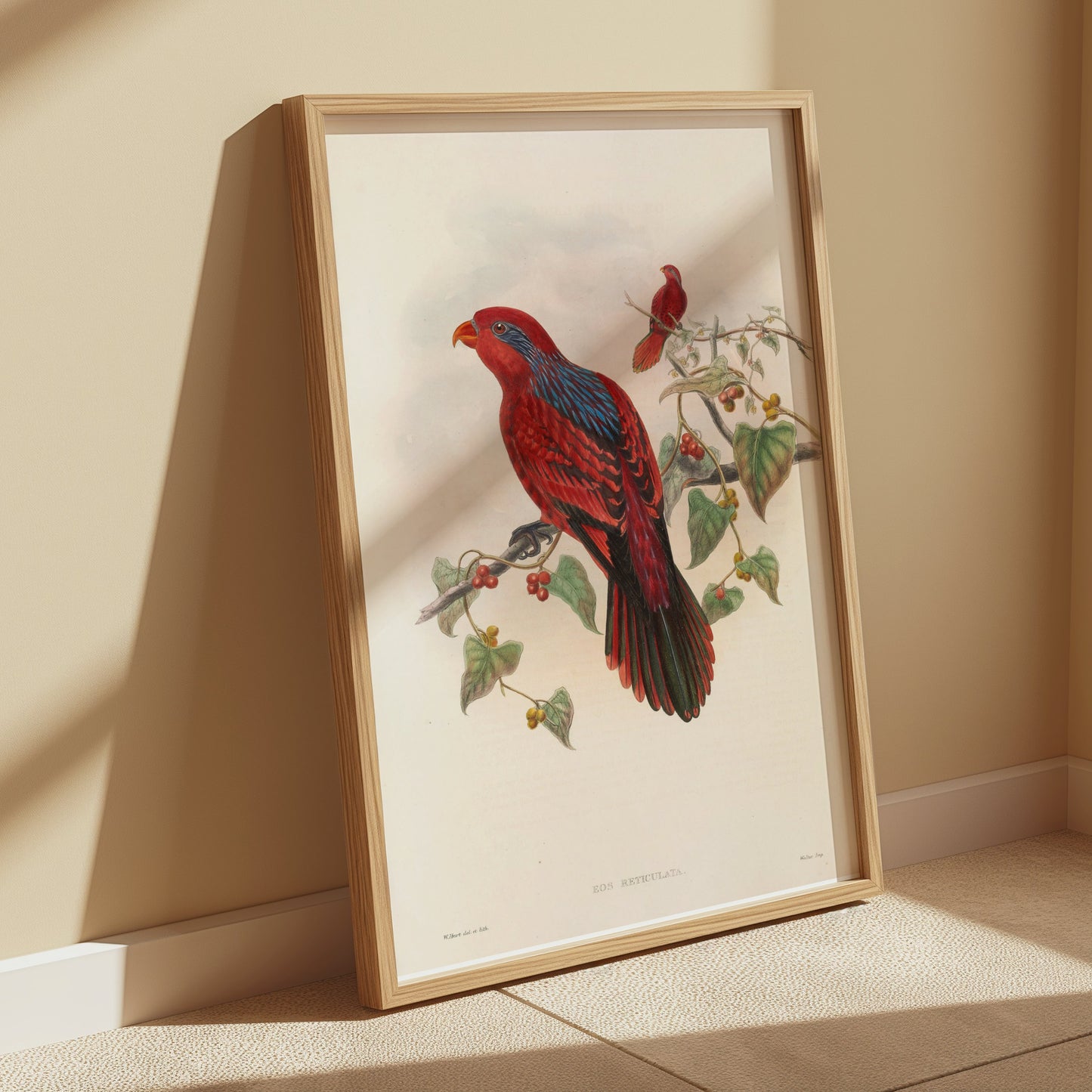 Premium Poster of Beautiful Vintage Parrot Illustration Art Print Posters