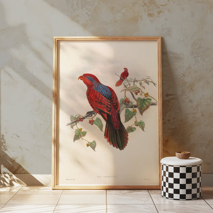 Premium Poster of Beautiful Vintage Parrot Illustration Art Print Posters
