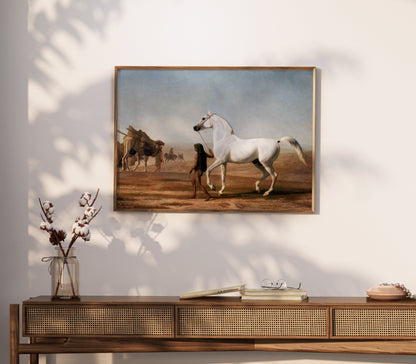 Premium Poster of Beautiful White Horse Walking Through Desert Posters