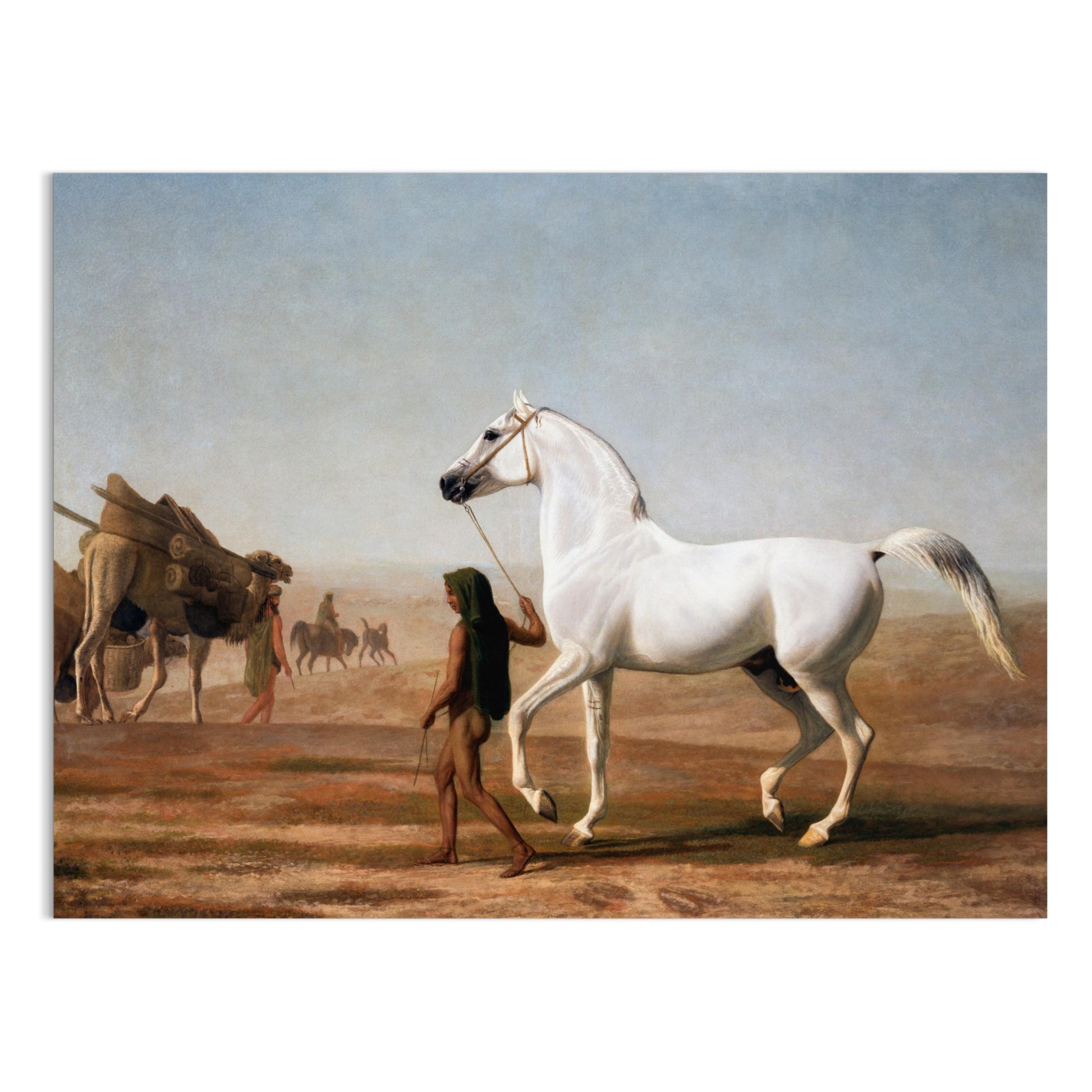 Premium Poster of Beautiful White Horse Walking Through Desert Posters